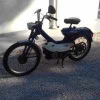 Motom Daina 50