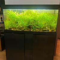 acquario con mobile e  accessori