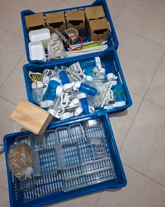 accessori per uccelli