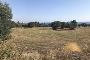 Terreno di 11340 m² a Roseto Capo Spulico