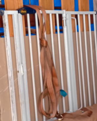 cancelletto chicco