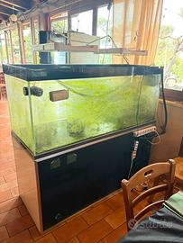 Acquario