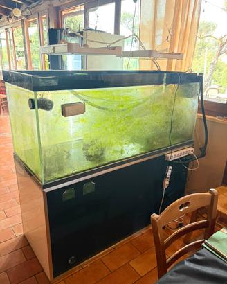 Acquario
