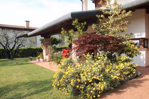 Bassano villa singola - privato vende