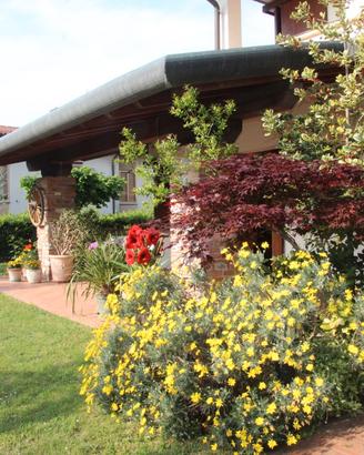 Bassano villa singola - privato vende