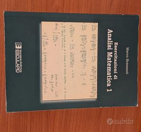 Esercitazioni di Analisi Matematica I Bramanti