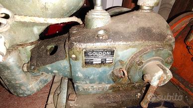 motori e pompe Goldoni Laverda cotiemme 