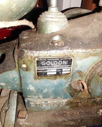 motori e pompe Goldoni Laverda cotiemme 