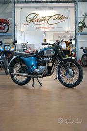 Triumph T 100
