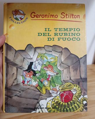 il tempio del rubino di fuoco - libro da leggere