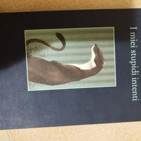 libro i miei stupidi intenti