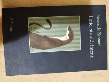 libro i miei stupidi intenti