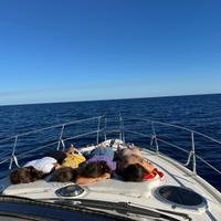 Imbarcazione salpa 38,5