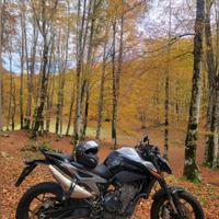Ktm 790 duke 2019 105 cv
