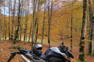 Ktm 790 duke 2019 105 cv