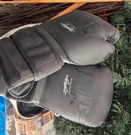 Guantoni da boxe Leone