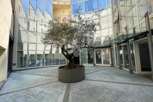 2 LOCALI A PARMA