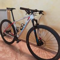 Specialized Strumpjumper comp carbon HT 29