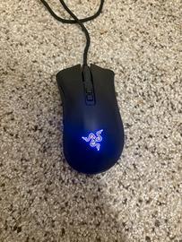 mouse