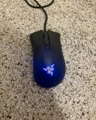 mouse
