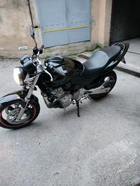 Honda Hornet