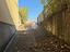 Immagine 14