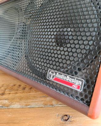 Cassa amplificatore portatile per chitarra e voce