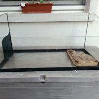 Acquario per tartarughe!!