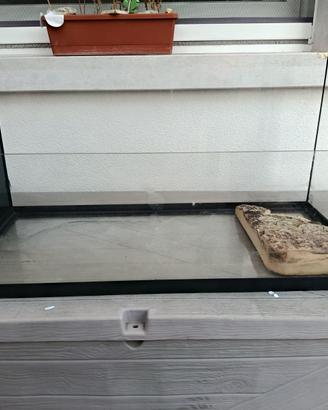 Acquario per tartarughe!!