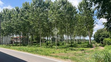 TER. RESIDENZIALE A BOFFALORA SOPRA TICINO