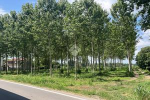 TER. RESIDENZIALE A BOFFALORA SOPRA TICINO