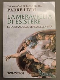 La Meraviglia di esistere - Il senso della Vita