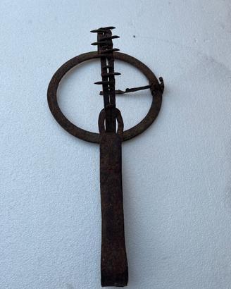 tagliola antica