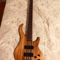 basso elettrico 5 corde 