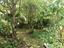 Immagine 26
