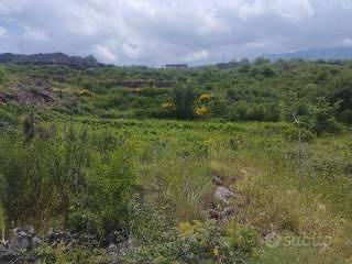 Terreno agricolo in zona Etna doc