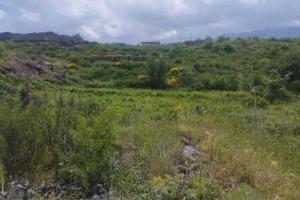 Terreno agricolo in zona Etna doc