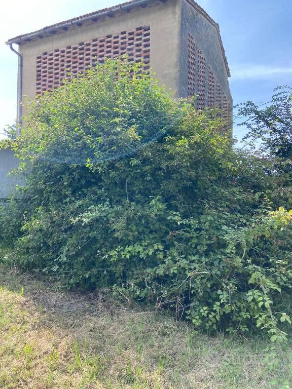 Rustico / Casale di 80 m² con 4 locali a Montesper - Vista 2