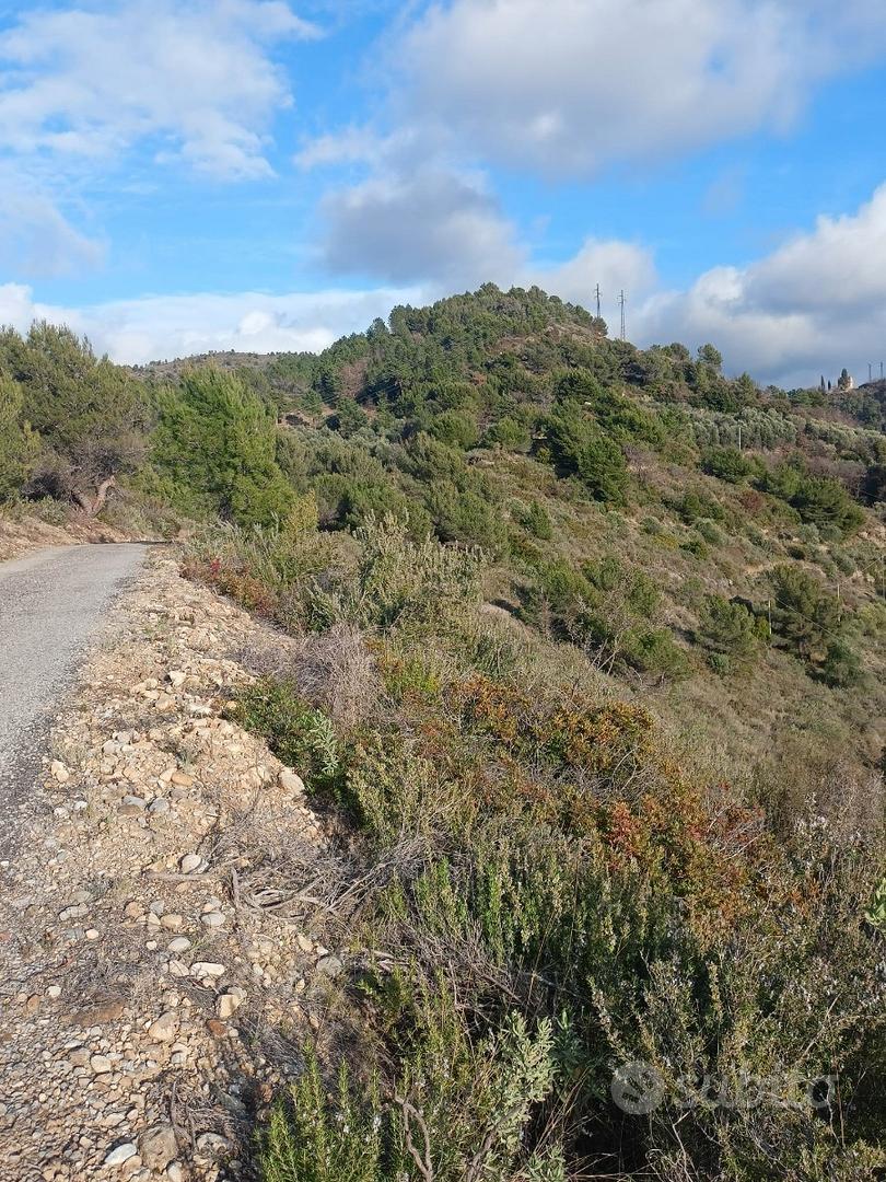 Terreno soleggiato edificabile - Vista 2