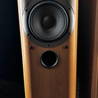 Infinity alpha 30