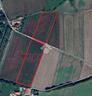 ter-agricolo-a-pinerolo