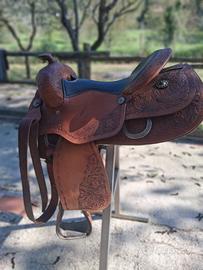 Sella americana denver