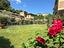 Immagine 11