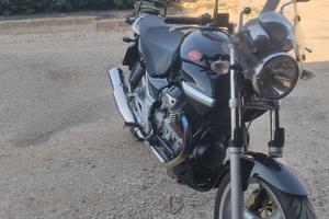 Moto Guzzi Breva 750