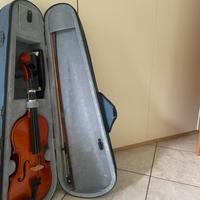 Violino Domus Musica