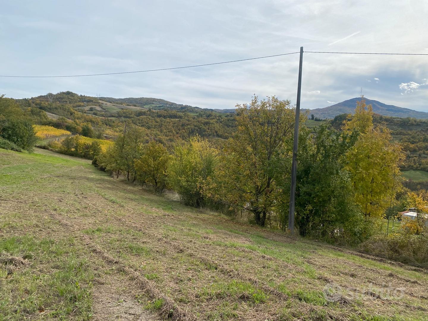 Rustico piu terreno - Vista 3