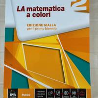 Libro matematica superiori Petrini