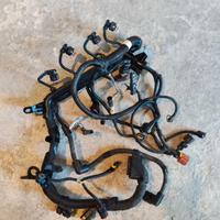 Cablaggio motore fiat 1.3 Multijet