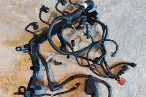 Cablaggio motore fiat 1.3 Multijet