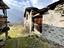 Immagine 7